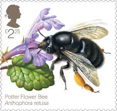 Discount Postage Stamps Online | Royal Mail Postage Stamps UK