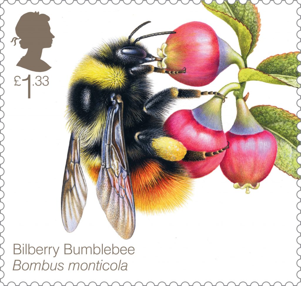 Discount Postage Stamps Online | Royal Mail Postage Stamps UK