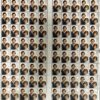 25p diana and charles gummed picture stamp sheet